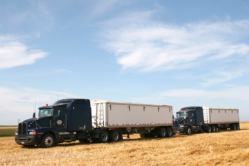 After a quick rain the clouds no longer look like rain clouds