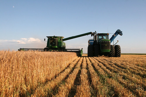 Johan dumps Leon on the go.