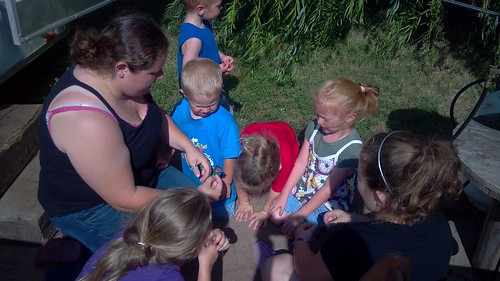 emma_gregorybutterfly