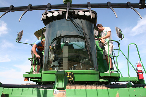A daily duty. Johan and Oak wash windows.