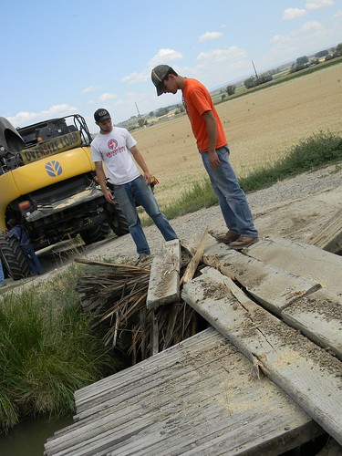 Boys evaluate bridge