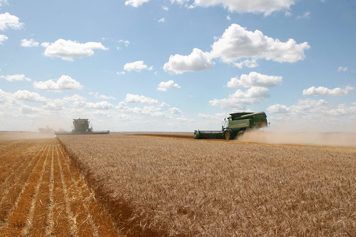 Oak and Leon pass each other.