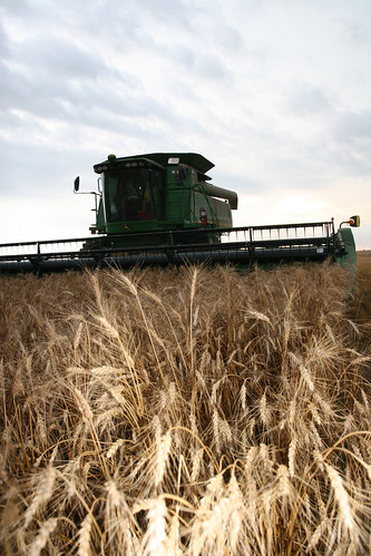 Andreas and Bryce cut my way.