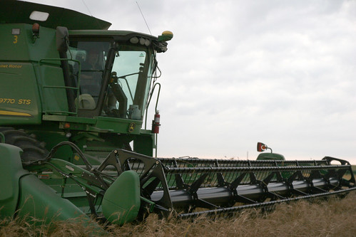 Mattt comes cut a break from his normal job of working at the elevator