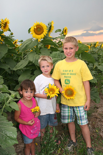 Kaidence and cousins Brady and Bryce play with the flowers.