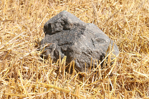 flooded areas have rocks.