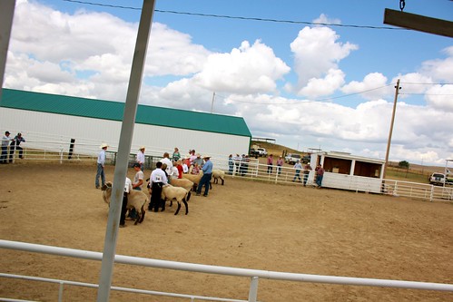 Garfield County Fair.