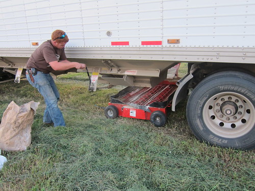 Callum binning wheat1