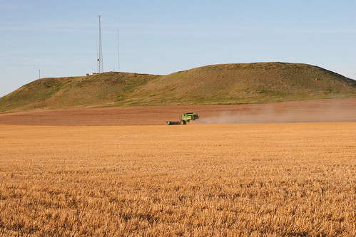 Cutting in Regent offers some new scenery.