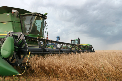 Johan comes to dump Oak on the go.