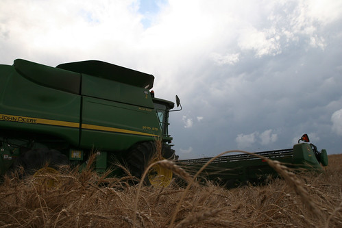 A picture perfect moment.