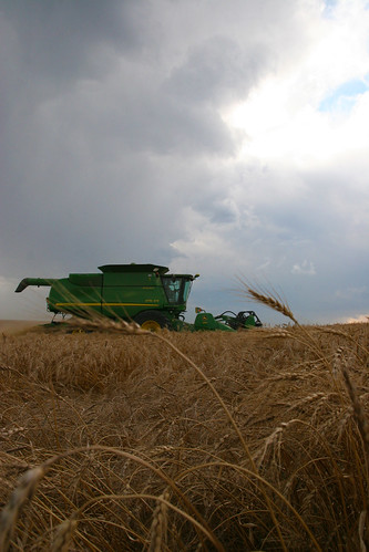 Wheat is the forefront for all wheaties