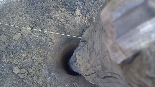 emma_siouxfallsfence