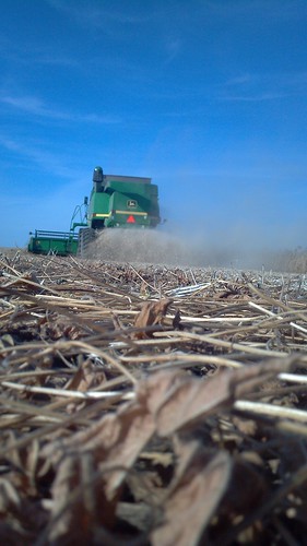 emma_rockrapidssoybeanharvest