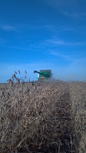 emma_rockrapidssoybeanharvest
