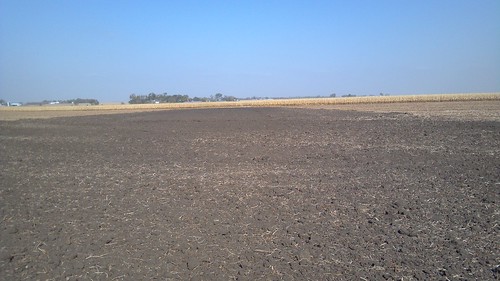 emma_soybeanrockrapidsfire