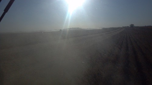 emma_soybeanrockrapids