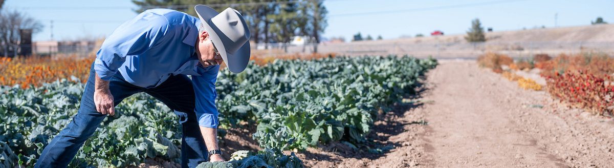 Dean Rolando Flores, College of Agricultural, Consumer and Environmental Sciences. 2022. (NMSU photo by Josh Bachman)