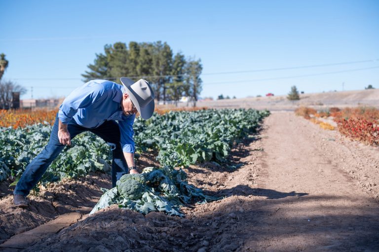 Dean Rolando Flores, College of Agricultural, Consumer and Environmental Sciences. 2022. (NMSU photo by Josh Bachman)