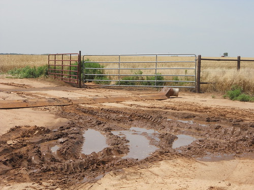 Mud in the driveway