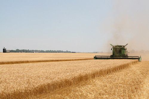 Callum cuts north of Pratt