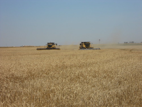 TR and CR in the field