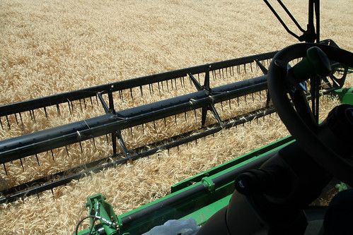 A view from the cockpit
