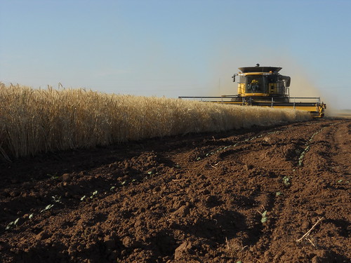 Cutting out a corner