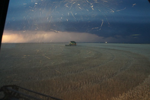 Dusk before the Storm