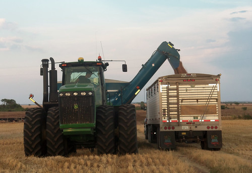 Oak loads one of our last truck loads in Olney