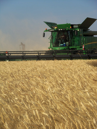 Callum cuts by with an oil pump in the background