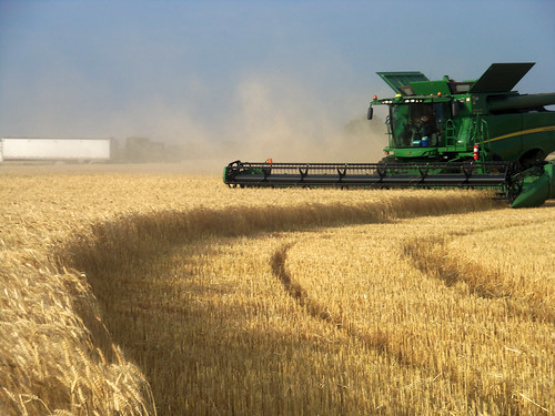 A truck arrives from the elevator as Callum cuts a strip left from cutting terraces open