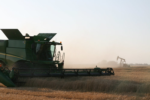 An a another field bites the dust thanks to Callums help