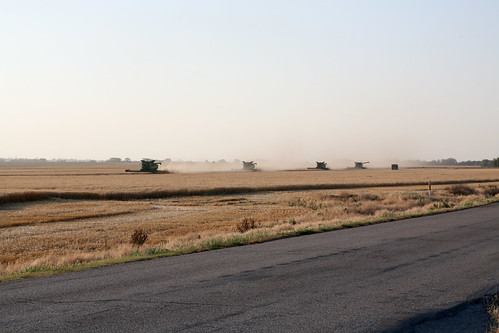 A view of our field from the county road to Sharon