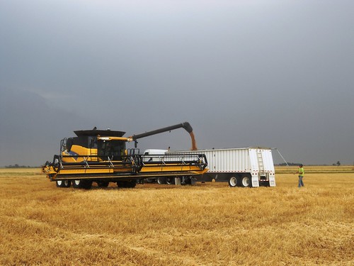 Unloading before the storm hits