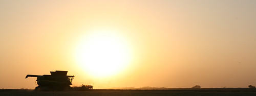 Cutting on the skyline