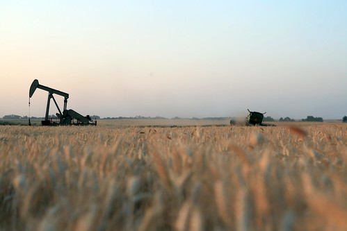 A combine cuts out a terrace in Kiowa