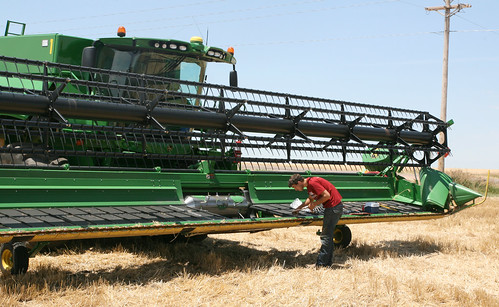 Oak checks the hold down def to make sure the knives are not too loose.