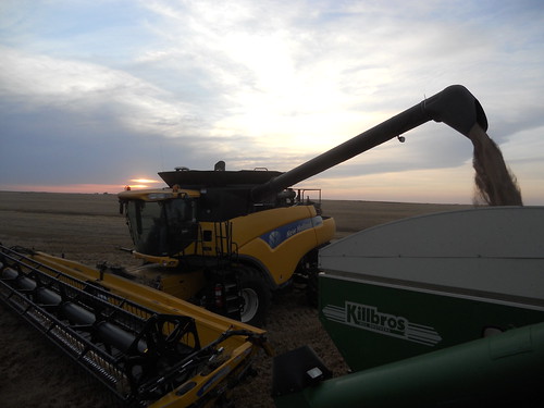 James unloading at sunset