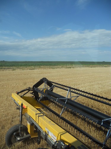 Cutting contently in the CR