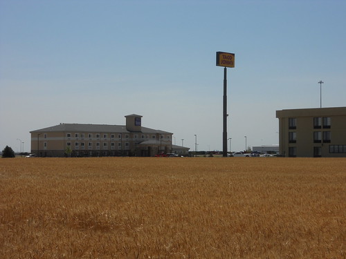 Wheat field behind our hotel