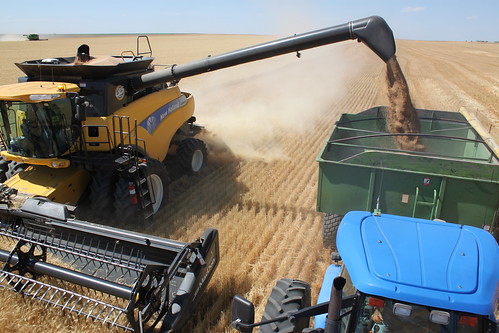 SO-St. Francis, Kan.