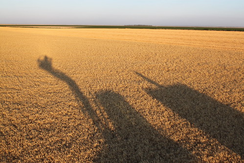 SO-St. Francis, Kan.