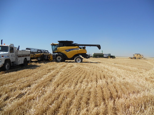 Everyone is busy, busy