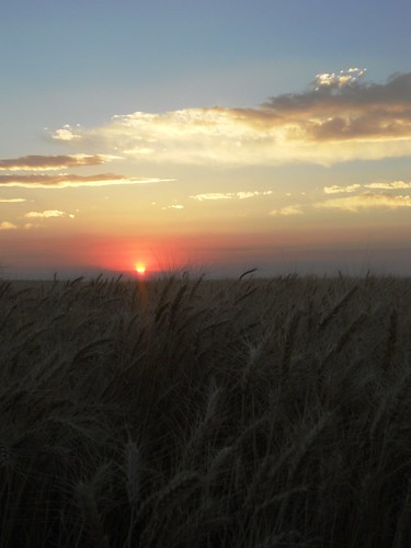End of the day - sunset