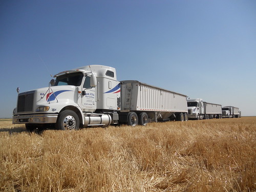 3 trucks empty trucks in the field