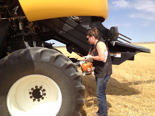 Z Crew taylor and leaf blower