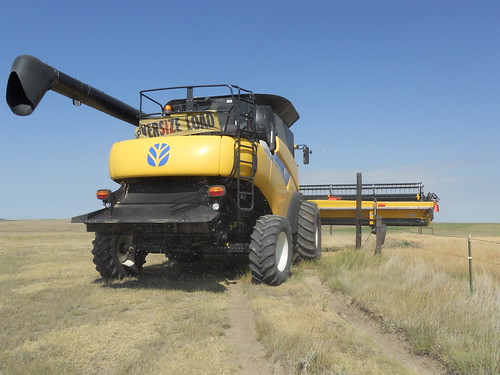 Wiggling into a gate