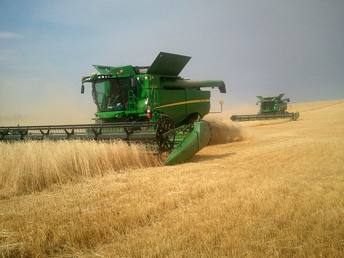 The billowing smoke for surrounding fires has made farmers understandably nervous