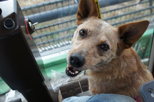 Jesse riding in the combine